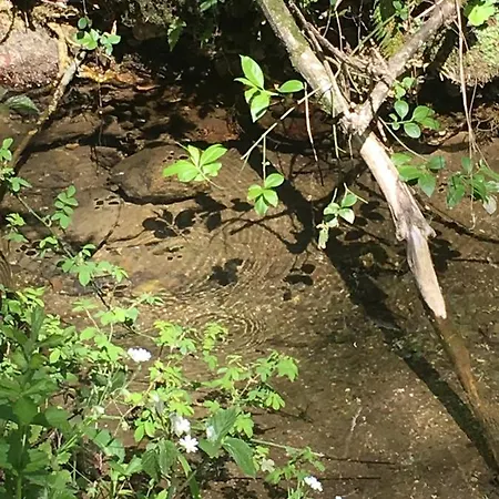 Feriehus Le Puech De Nalbe *