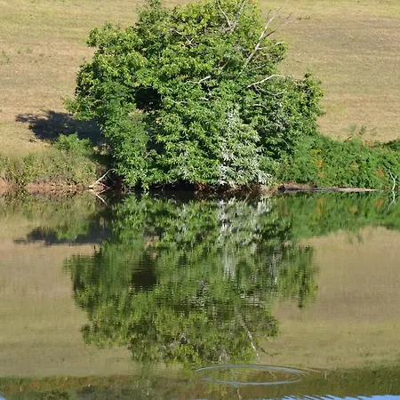 Le Puech De Nalbe Holiday home *