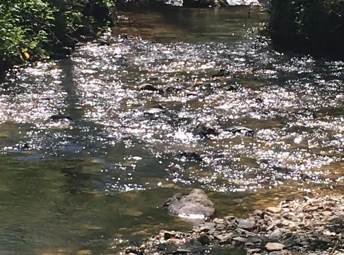 Le Puech De Nalbe Villefranche-dʼAlbigeois